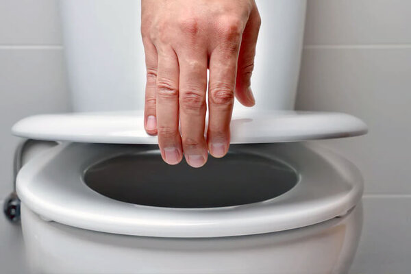 How To Fix A Squeaking Toilet Seat