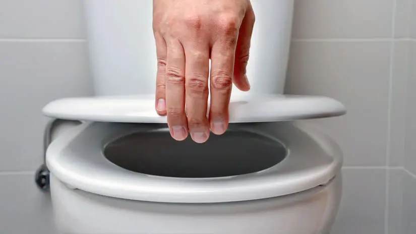 Fix Squeaking Toilet Seat