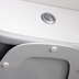Types Of Flushing Mechanisms In Toilets