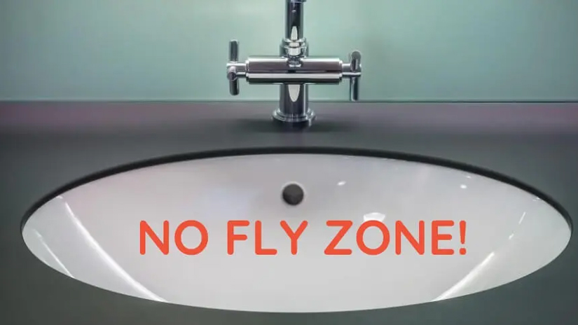 Rid Drain Flies