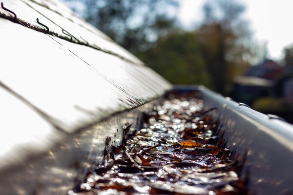 Clear Blocked Roof Drains