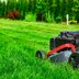Lawn Drainage 101: Tips for a Healthy, Dry Yard