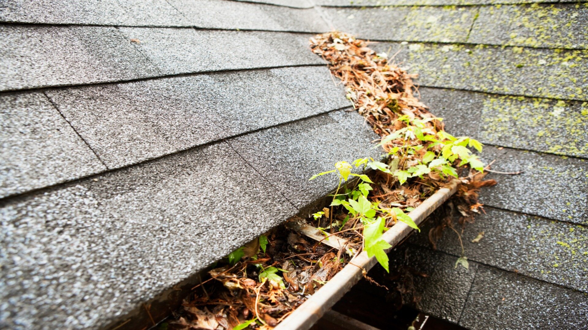 Unclog Gutters Unclog Gutters