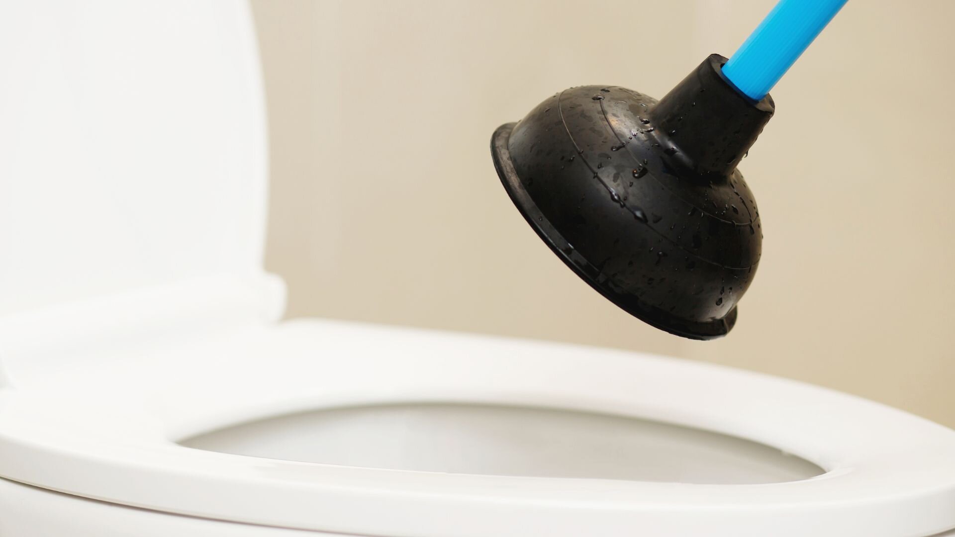 Plunger Toilet Blue Black