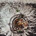 How to Handle Food Particles in Kitchen Sinks