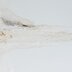 Causes of Water Stains from Leaking Pipes
